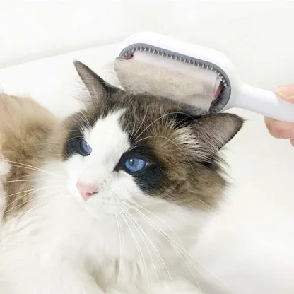 Portable Pet Hair Brushes - Image 5