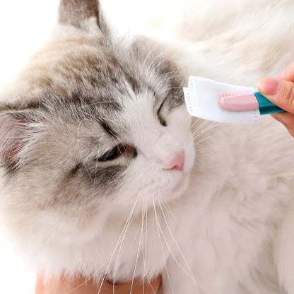 Eye Stain Remover Pet Hair Brush - Image 6
