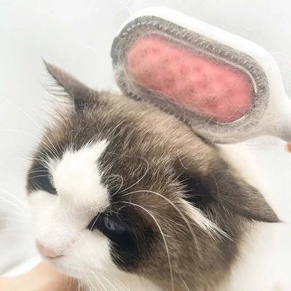 Portable Pet Hair Brushes - Image 2