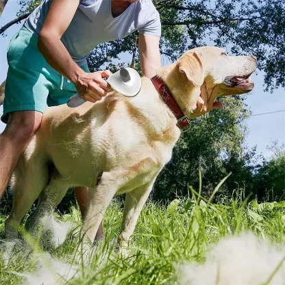 Self Cleaning Pet Hair Brushes - Image 2